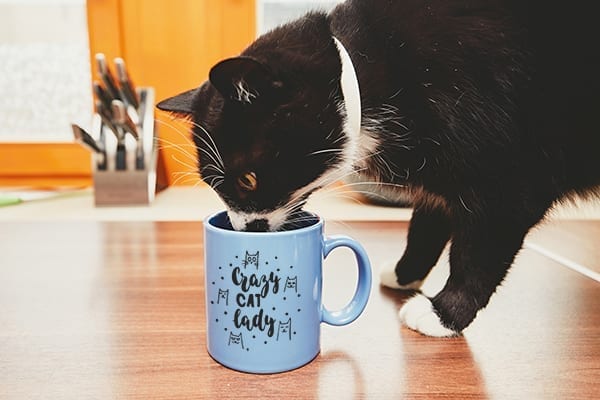 Mugs are a great holiday gift!